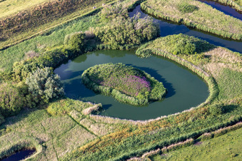 Vue aérienne de Structures d'un paysage de canaux et de marais salants à Tating à le quartier Brösum in Sankt Peter-Ording dans le département Schleswig-Holstein, Allemagne
