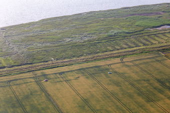 Vue aérienne de Cimetière de voitures en Frise du Nord à Karolinenkoog dans le département Schleswig-Holstein, Allemagne