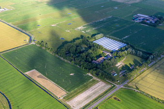 Vue aérienne de Labyrinthe de maïs Kühl à le quartier Hülkenbüll in Garding dans le département Schleswig-Holstein, Allemagne