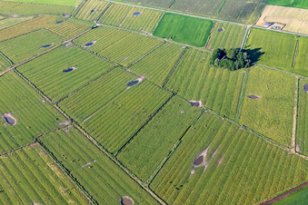Vue aérienne de Champs entrecoupés de petits étangs à le quartier Kating in Tönning dans le département Schleswig-Holstein, Allemagne
