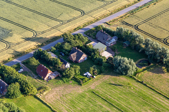 Anciennes fermes de gardiens de digues sur la Schülpersieler Straße à Wesselburenerkoog dans le département Schleswig-Holstein, Allemagne hors des airs