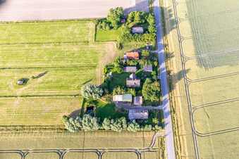 Anciennes fermes de gardiens de digues sur la Schülpersieler Straße à Wesselburenerkoog dans le département Schleswig-Holstein, Allemagne vue du ciel