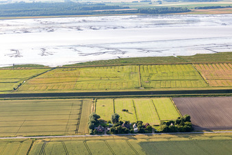 Image drone de Anciennes fermes de gardiens de digues sur la Schülpersieler Straße à Wesselburenerkoog dans le département Schleswig-Holstein, Allemagne