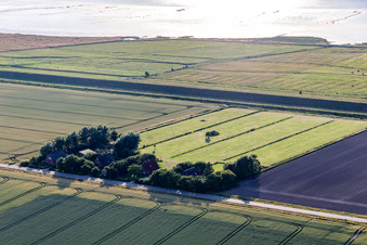 Anciennes fermes de gardiens de digues sur la Schülpersieler Straße à Wesselburenerkoog dans le département Schleswig-Holstein, Allemagne du point de vue du drone