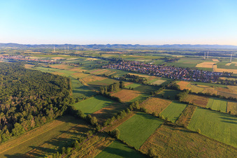Vue aérienne de Du sud-est à Minfeld dans le département Rhénanie-Palatinat, Allemagne