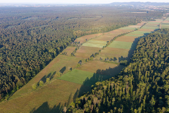 Vue aérienne de Otterbachtal à Freckenfeld dans le département Rhénanie-Palatinat, Allemagne