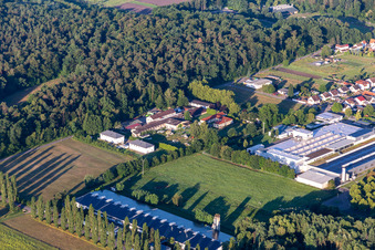 Vue aérienne de Webasto Mécatronique à le quartier Schaidt in Wörth am Rhein dans le département Rhénanie-Palatinat, Allemagne