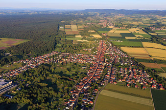 Vue aérienne de De l'est à le quartier Schaidt in Wörth am Rhein dans le département Rhénanie-Palatinat, Allemagne