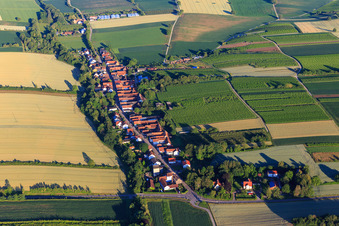 Vue aérienne de De l'est à Vollmersweiler dans le département Rhénanie-Palatinat, Allemagne