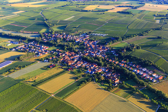 Vue aérienne de De l'est à Dierbach dans le département Rhénanie-Palatinat, Allemagne