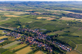 Vue aérienne de Champs agricoles et terres agricoles à Dierbach dans le département Rhénanie-Palatinat, Allemagne