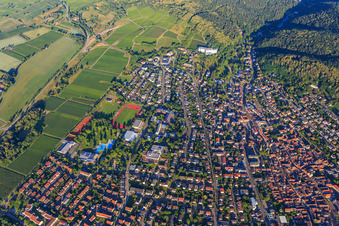 Vue aérienne de Pétronellastr à Bad Bergzabern dans le département Rhénanie-Palatinat, Allemagne