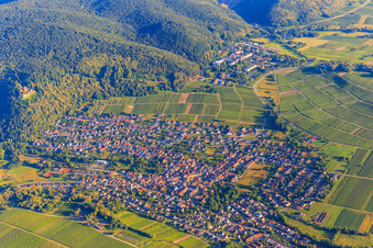 Vue aérienne de Village viticole en bordure de la forêt palatine, à l'est à Klingenmünster dans le département Rhénanie-Palatinat, Allemagne