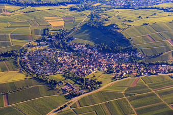 Vue aérienne de Village viticole sur la Kleine Kalmit depuis le sud à Ilbesheim bei Landau dans le département Rhénanie-Palatinat, Allemagne