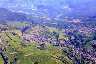 Vue aérienne de Village viticole en bordure de la forêt palatine, à l'est à Birkweiler dans le département Rhénanie-Palatinat, Allemagne