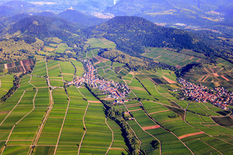Vue aérienne de Village viticole en bordure de la forêt palatine, à l'est à Ranschbach dans le département Rhénanie-Palatinat, Allemagne