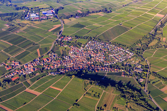 Vue aérienne de Village viticole sur la Kleine Kalmit depuis l'est à Ilbesheim bei Landau dans le département Rhénanie-Palatinat, Allemagne