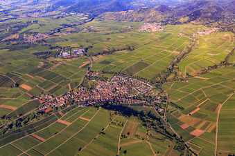 Vue aérienne de Village viticole sur la Kleine Kalmit depuis l'est à Ilbesheim bei Landau dans le département Rhénanie-Palatinat, Allemagne