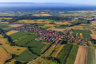 Vue aérienne de Du nord à Erlenbach bei Kandel dans le département Rhénanie-Palatinat, Allemagne