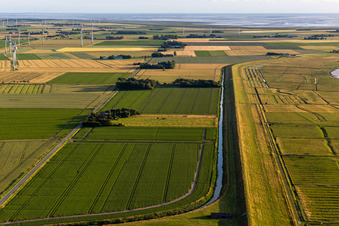 Vue aérienne de Rue Schülpersieler à Wesselburenerkoog dans le département Schleswig-Holstein, Allemagne