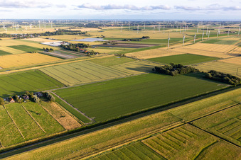 Vue aérienne de Éoliennes (WEA) - éolienne - dans un champ à le quartier Schülperweide in Schülp dans le département Schleswig-Holstein, Allemagne