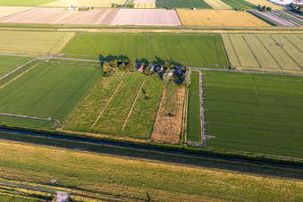 Vue aérienne de Rue Schülpersieler à le quartier Schülperweide in Wesselburenerkoog dans le département Schleswig-Holstein, Allemagne