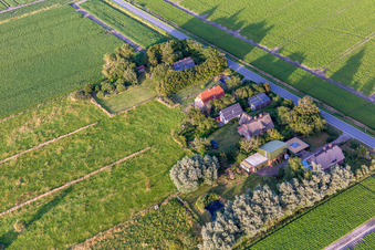 Rue Schülpersieler à le quartier Schülperweide in Wesselburenerkoog dans le département Schleswig-Holstein, Allemagne depuis l'avion