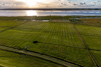Photographie aérienne de Avant-pays des eiders de Dithmarscher à le quartier Schülper Neuensiel in Wesselburenerkoog dans le département Schleswig-Holstein, Allemagne