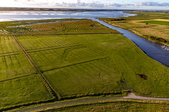 Photographie aérienne de Avant-pays des eiders de Dithmarscher à Wesselburenerkoog dans le département Schleswig-Holstein, Allemagne