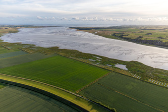 Vue aérienne de Formation de criques de marée sur les rives avec vasières le long du cours de l'Eider à Tönning dans le département Schleswig-Holstein, Allemagne