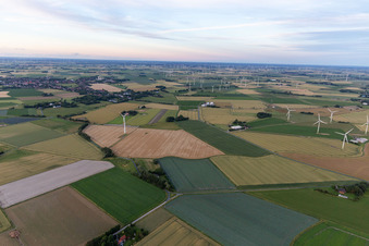 Vue aérienne de Éoliennes autour de Wesselburen à Süderdeich dans le département Schleswig-Holstein, Allemagne