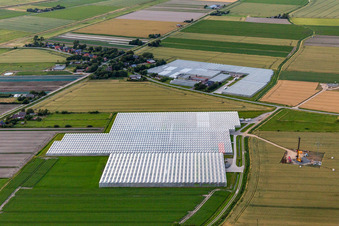 Vue aérienne de Restaurant Hermann à Schülp dans le département Schleswig-Holstein, Allemagne