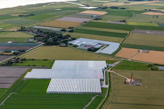 Vue aérienne de Restaurant Hermann à Schülp dans le département Schleswig-Holstein, Allemagne