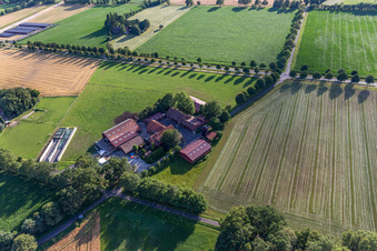 Vue oblique de Melkschöppken de Lanfer à le quartier Tungerloh-Pröbsting in Gescher dans le département Rhénanie du Nord-Westphalie, Allemagne