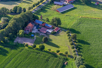 Vue aérienne de Ferme sur Riekenweg à le quartier Tungerloh-Pröbsting in Gescher dans le département Rhénanie du Nord-Westphalie, Allemagne