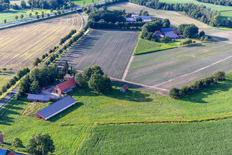 Vue aérienne de Ferme sur la L608 à le quartier Tungerloh-Pröbsting in Gescher dans le département Rhénanie du Nord-Westphalie, Allemagne