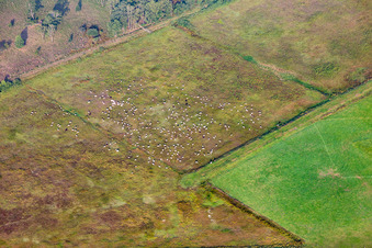 Vue aérienne de Haaksbergen dans le département Overijssel, Pays-Bas
