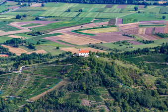 Vue aérienne de Chapelle Wurmlinger Saint-Remiius à le quartier Wurmlingen in Rottenburg am Neckar dans le département Bade-Wurtemberg, Allemagne