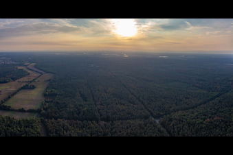 Vue aérienne de Lever de soleil sur la forêt de Bienwald dans l'Otterbachtal à Minfeld dans le département Rhénanie-Palatinat, Allemagne