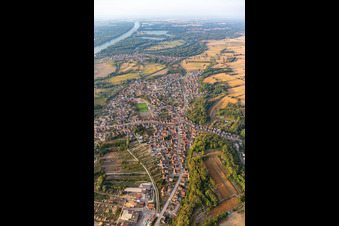Vue aérienne de Les rives du Rhin à Mothern dans le département Bas Rhin, France