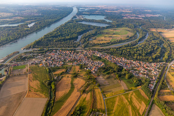 Vue aérienne de Delta du fleuve et embouchure de la Lauter dans le Rhin à Munchhausen dans le département Bas Rhin, France