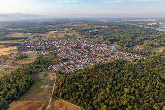 Vue aérienne de Zone riveraine du Vieux Rhin - cours du fleuve en Plittersdorf à le quartier Plittersdorf in Rastatt dans le département Bade-Wurtemberg, Allemagne