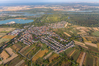 Vue aérienne de Zones riveraines du Rhin en Wintersdorf à le quartier Wintersdorf in Rastatt dans le département Bade-Wurtemberg, Allemagne