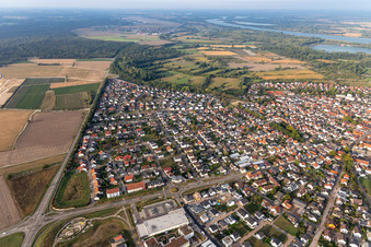 Vue aérienne de Zone riveraine du Rhin - cours du fleuve à Iffezheim dans le département Bade-Wurtemberg, Allemagne