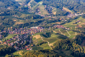 Vue aérienne de Sasbachwalden dans le département Bade-Wurtemberg, Allemagne