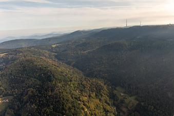 Vue aérienne de Étable à bœufs à Sasbachwalden dans le département Bade-Wurtemberg, Allemagne