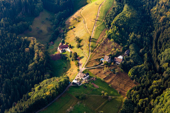 Vue aérienne de Felmeck à Oppenau dans le département Bade-Wurtemberg, Allemagne
