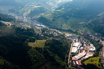 Vue aérienne de Palettes Treyer à le quartier Bad Peterstal in Bad Peterstal-Griesbach dans le département Bade-Wurtemberg, Allemagne