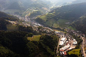 Vue aérienne de Zone industrielle avec Treyer Paletten GmbH à le quartier Bad Peterstal in Bad Peterstal-Griesbach dans le département Bade-Wurtemberg, Allemagne
