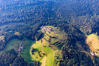 Vue aérienne de Löscherhansenhof à le quartier Bad Peterstal in Bad Peterstal-Griesbach dans le département Bade-Wurtemberg, Allemagne